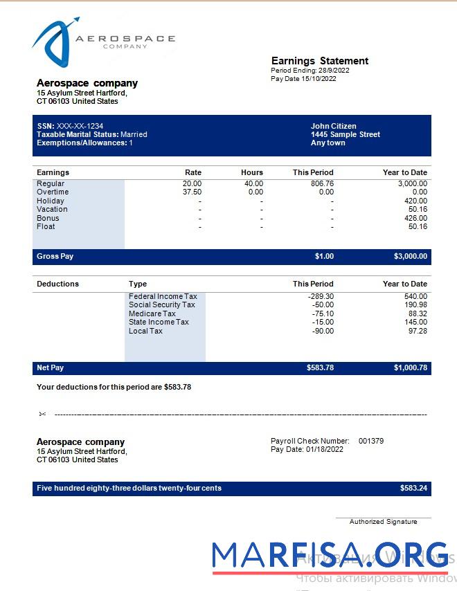 Downloadable Aerospace company earning statement real example